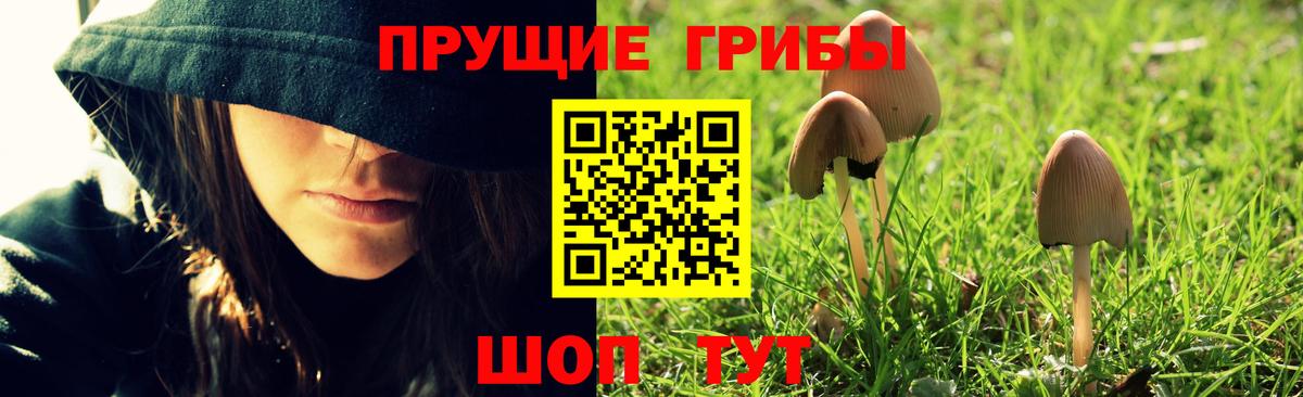 Псилоцибиновые грибы ЛСД Краснодар