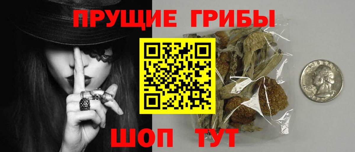 Краснодар  Псилоцибиновые грибы Cubensis  Вход с VPN 